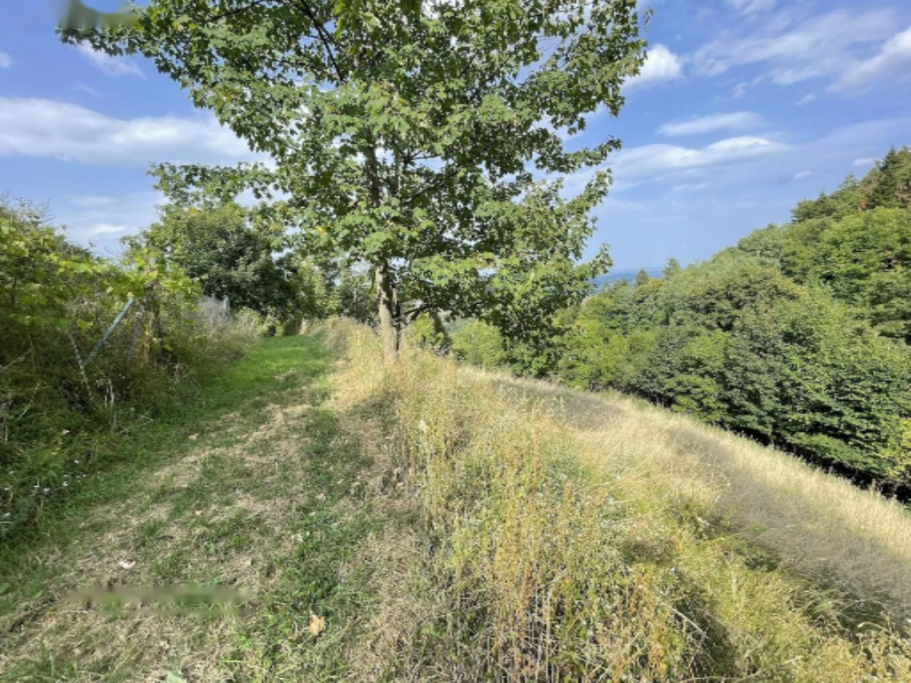 Ферма в Мариборе, Словения, 67 791 м² - фото 9