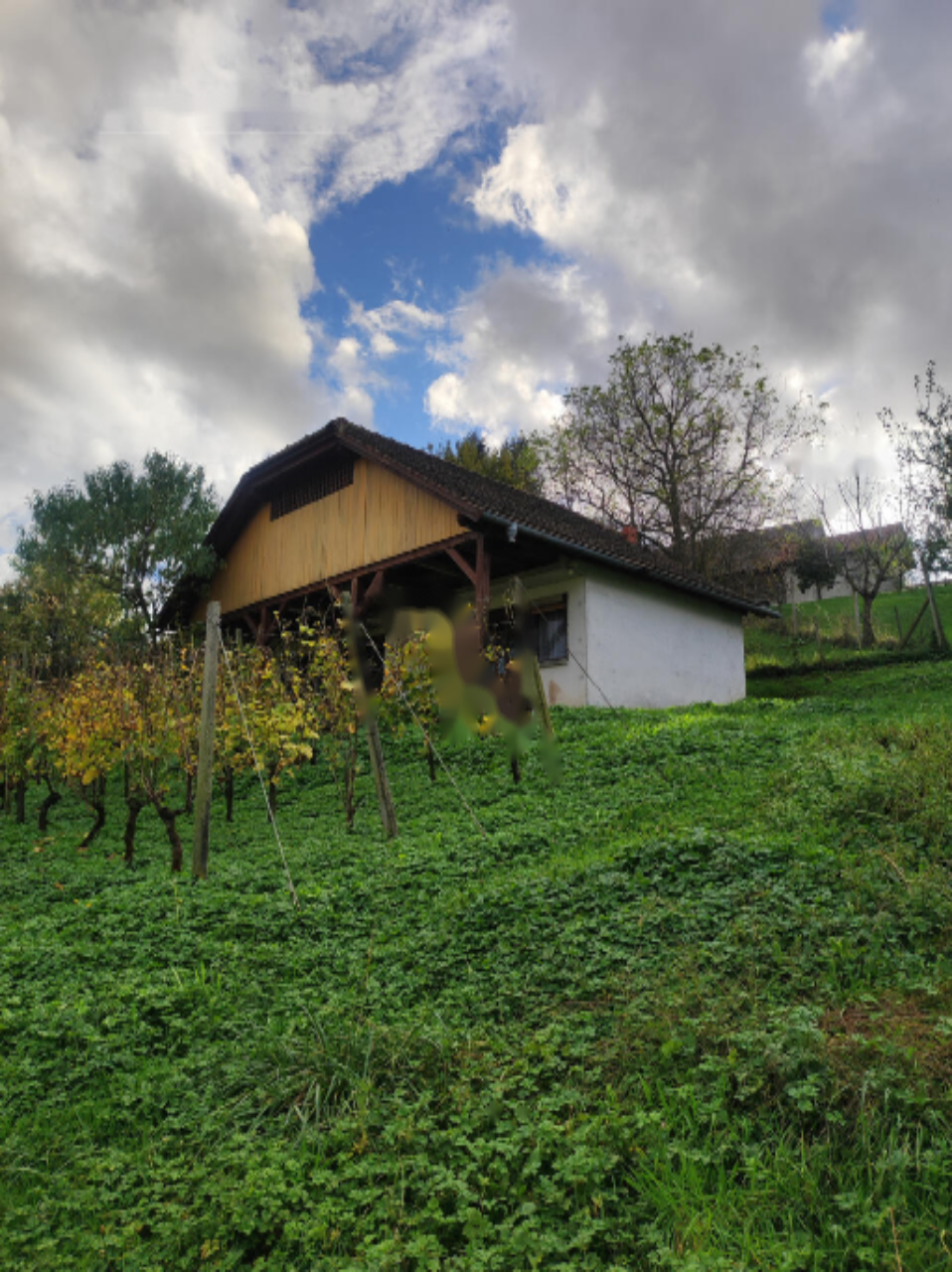 Ферма в Рогашка-Слатине, Словения, 27 526 м² - фото 9