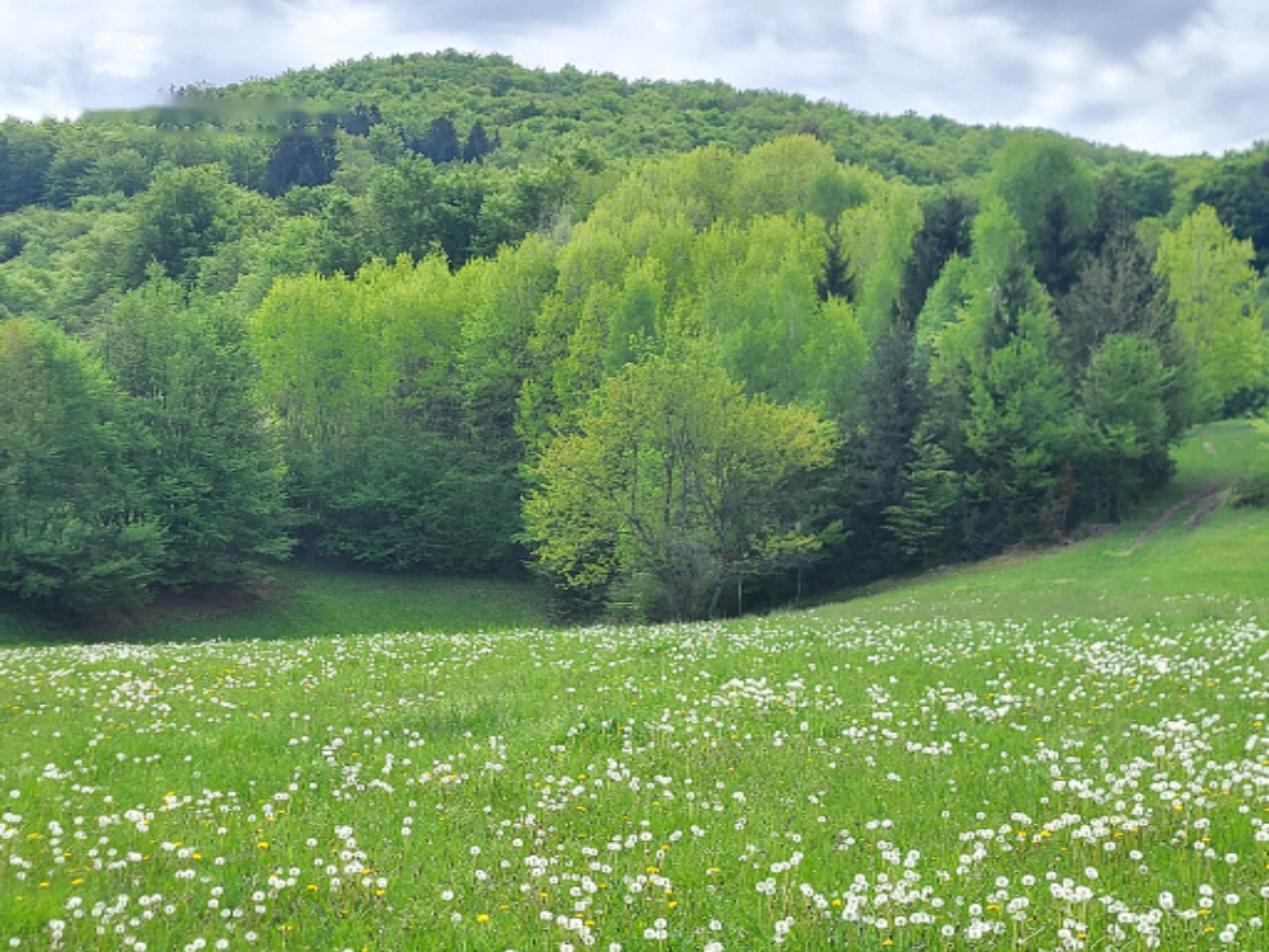 Ферма в Ново-Место, Словения, 130 460 м² - фото 9