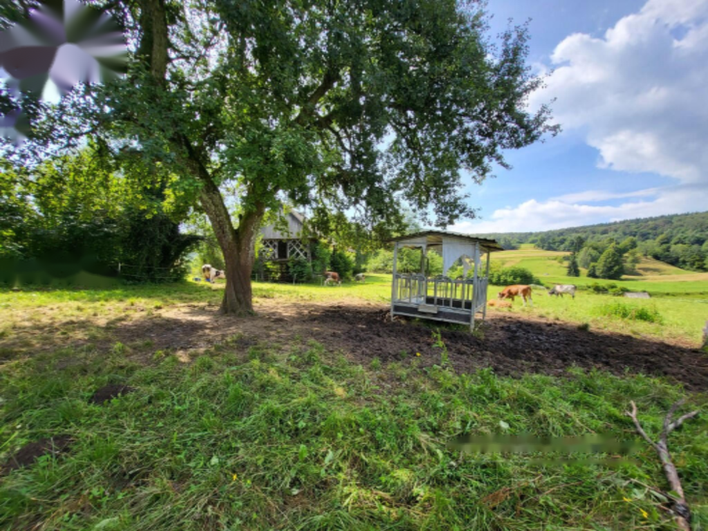 Ферма в Ново-Место, Словения, 130 460 м² - фото 10