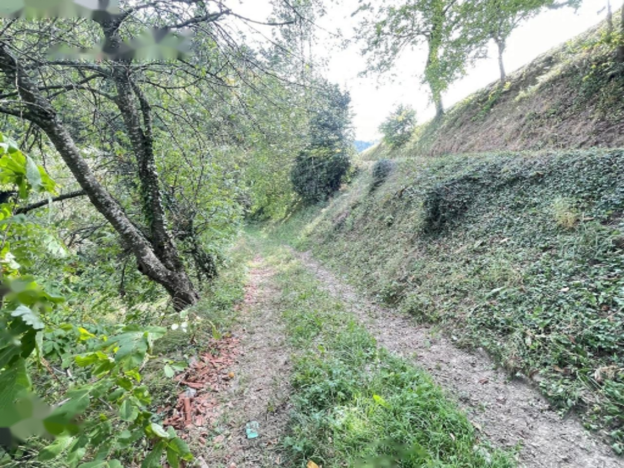 Ферма в Мариборе, Словения, 67 791 м² - фото 12