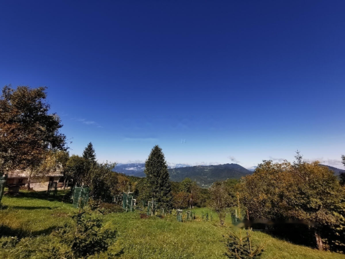 Ферма в Кочевье, Словения, 129 000 м² - фото 14