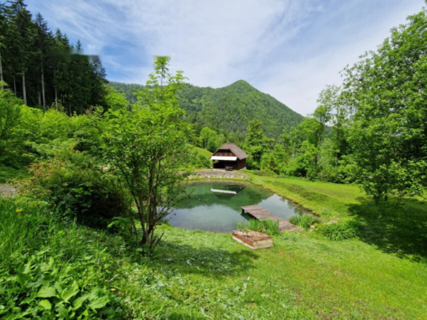 Ферма в Мозирье, Словения, 105 872 м² - фото 19