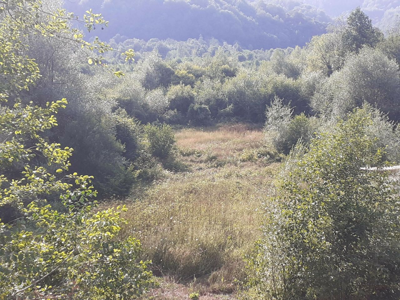 Земля в Колашине, Черногория, 4 400 м² - фото 4