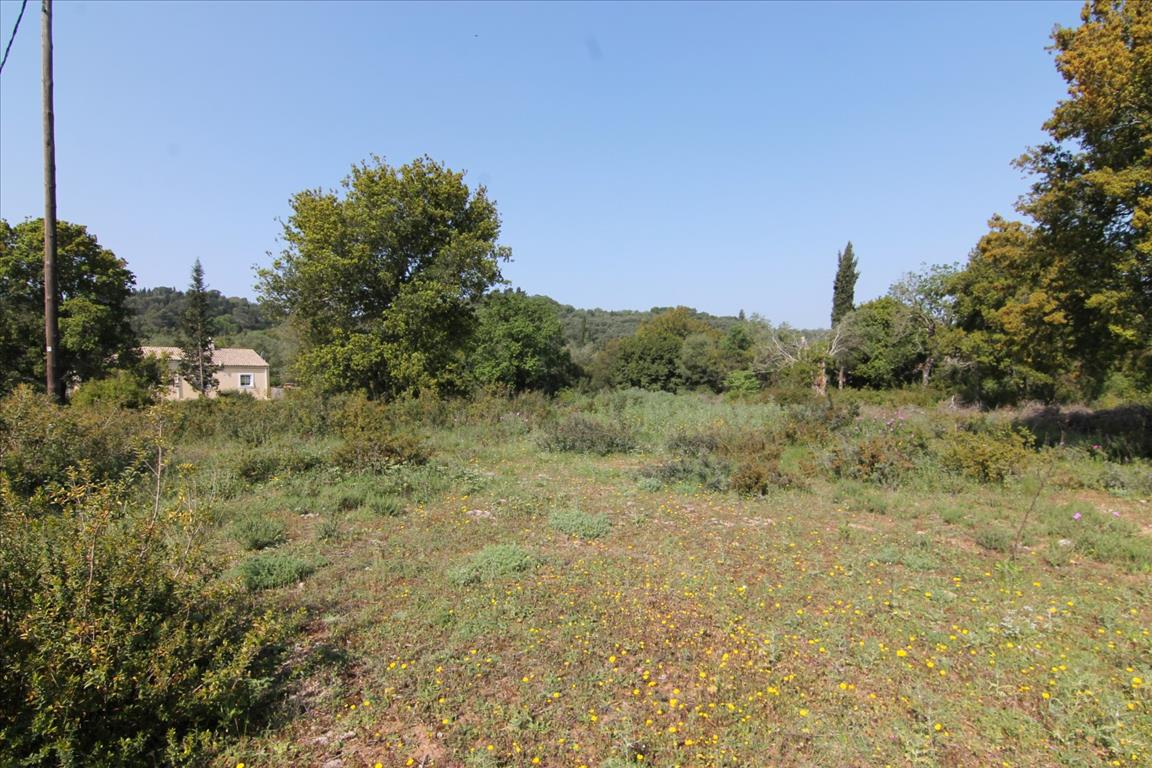 Земля на Корфу, Греция, 6 500 м² - фото 3