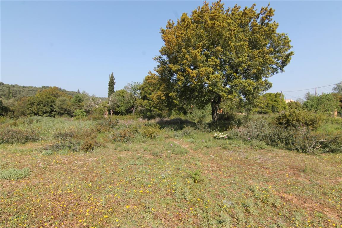 Земля на Корфу, Греция, 6 500 м² - фото 4