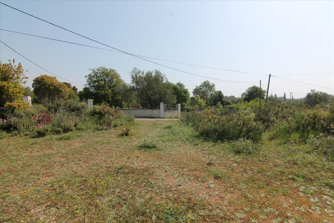 Земля на Корфу, Греция, 6 500 м² - фото 6