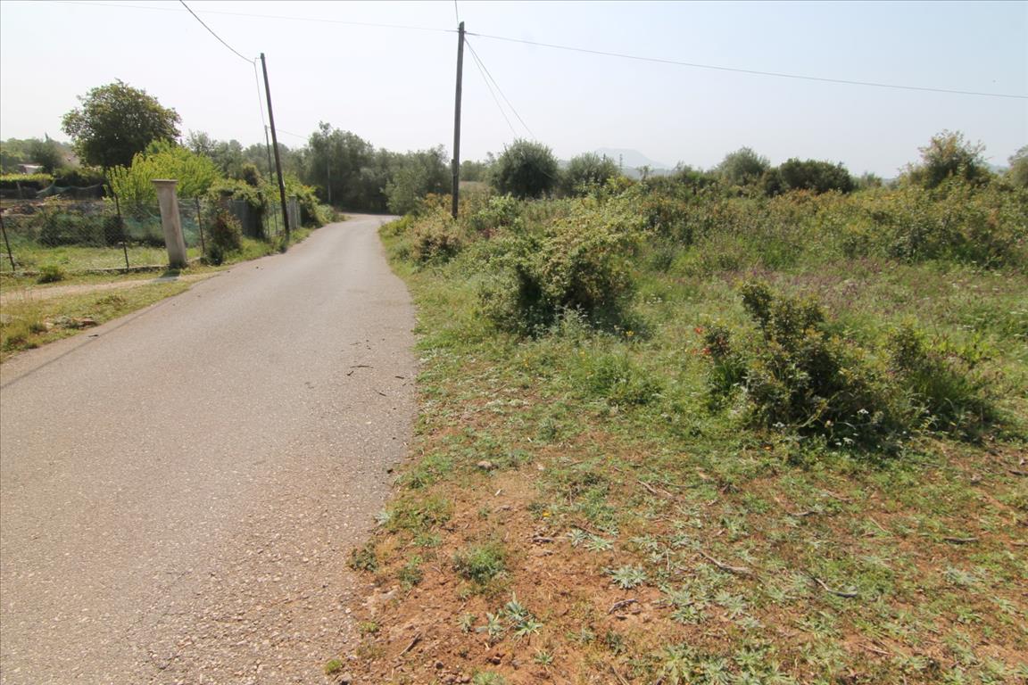 Земля на Корфу, Греция, 6 500 м² - фото 7