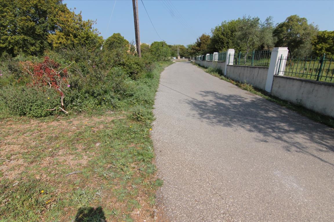 Земля на Корфу, Греция, 6 500 м² - фото 8