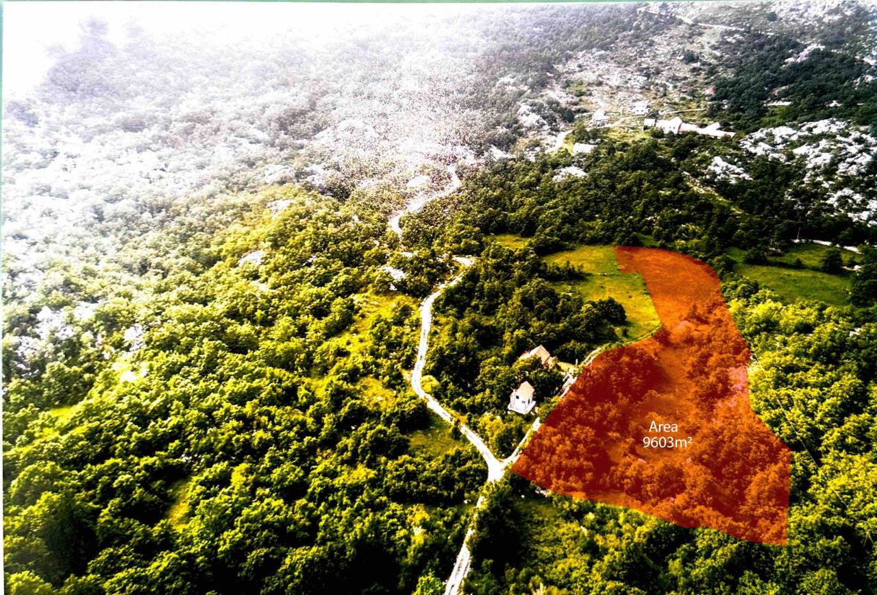 Земля в Негуши, Черногория, 9 603 м² - фото 2