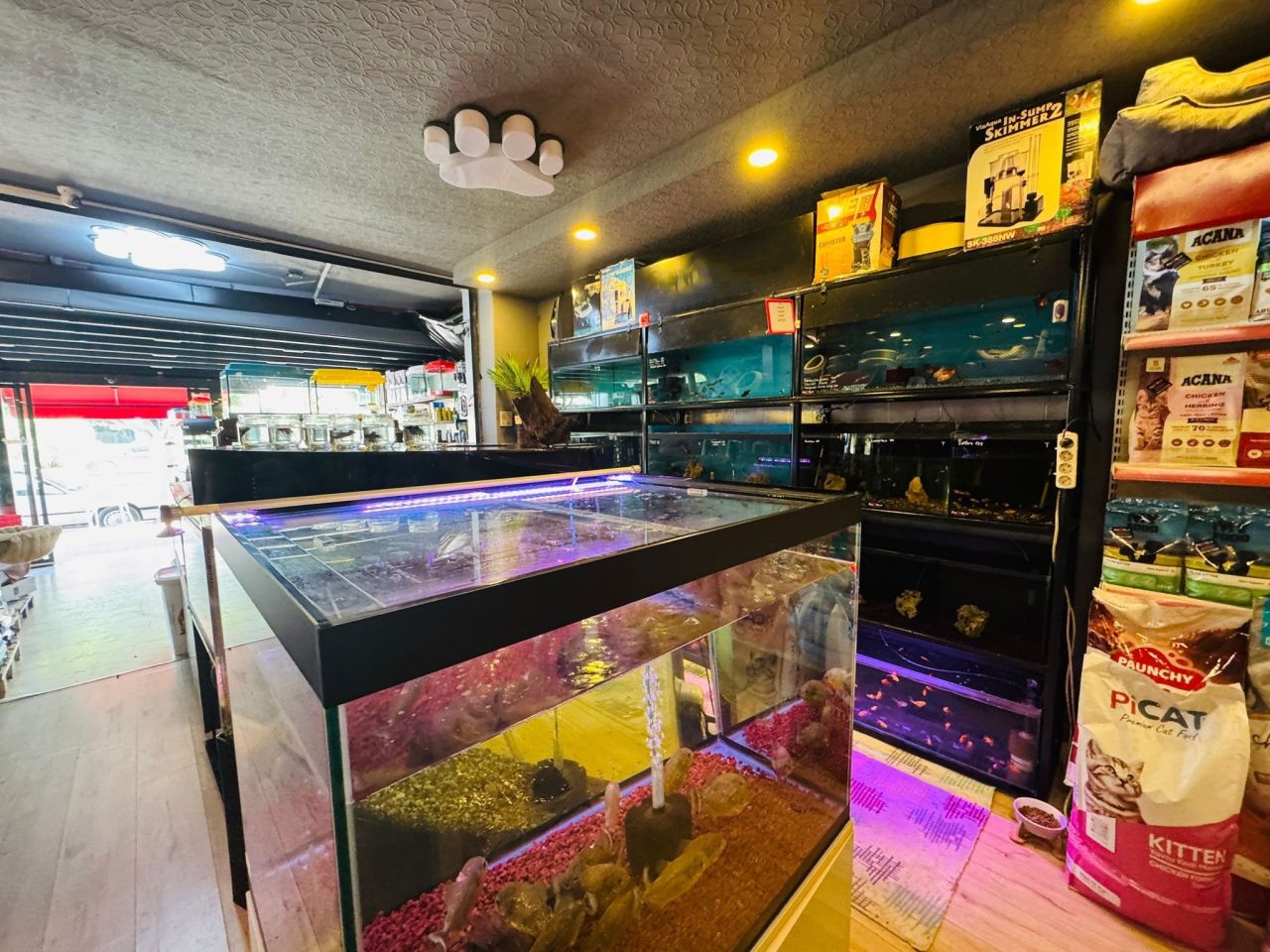 Магазин в Анталии, Турция, 250 м² - фото 9