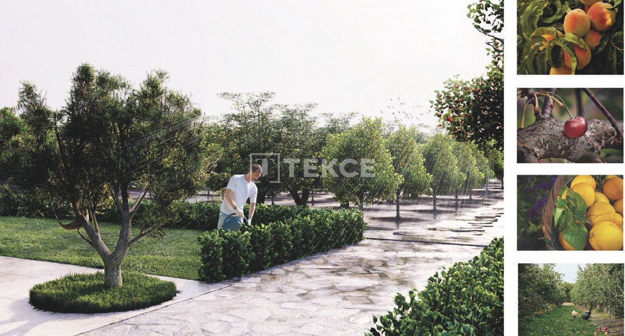 Вилла Урла, Турция, 687 м² - фото 13