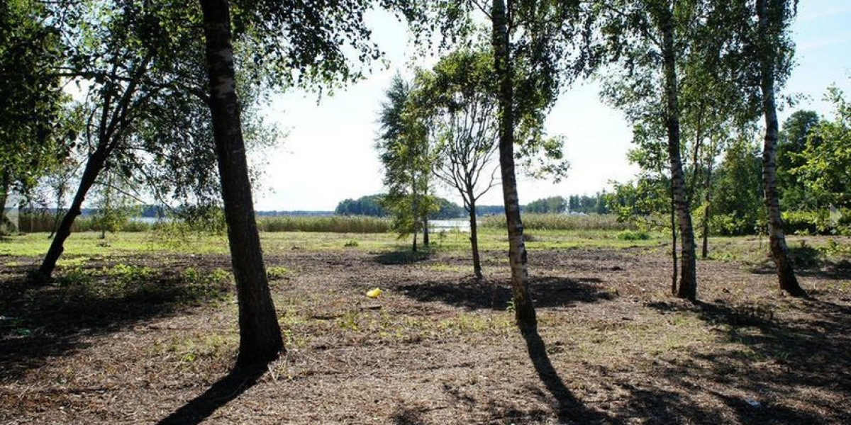Земля в Рижском крае, Латвия, 9 940 сот. - фото 1
