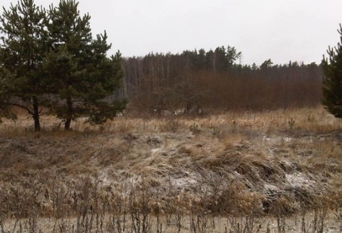 Земля в Рижском крае, Латвия, 56 000 м² - фото 1