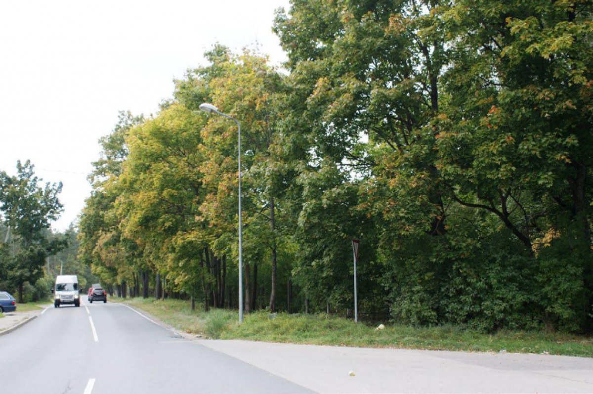 Земля в Риге, Латвия, 37 697 сот. - фото 2