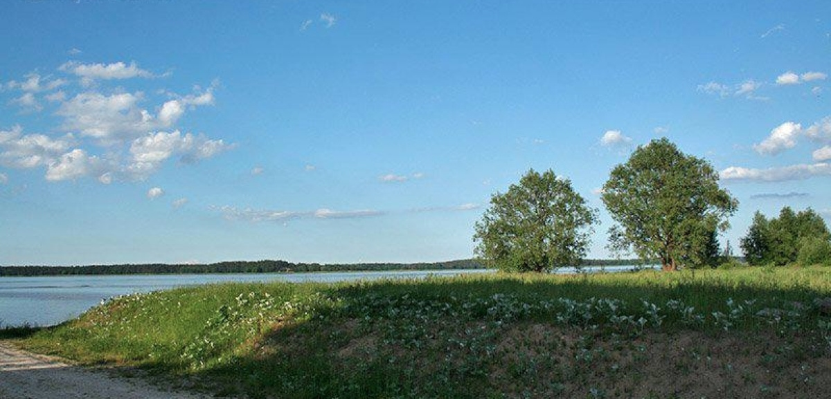 Земля в Риге, Латвия, 2 440 сот. - фото 2