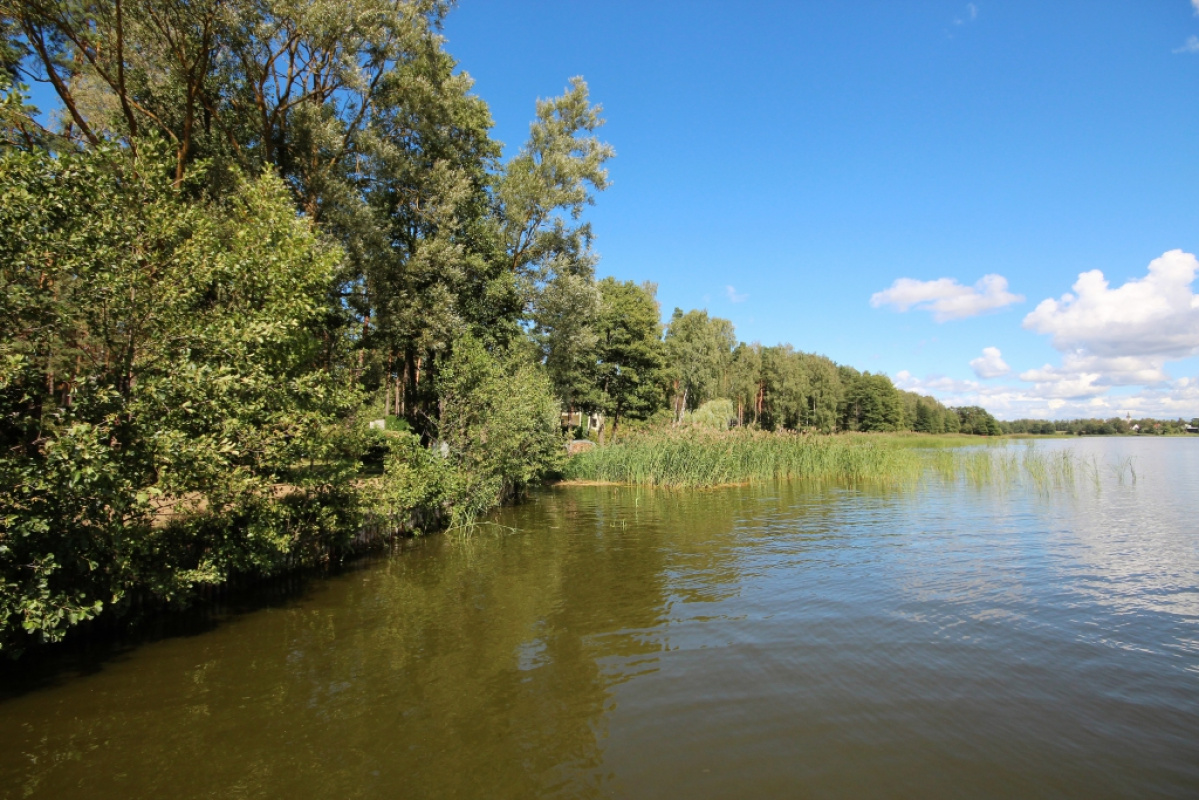 Земля в Рижском крае, Латвия, 5 925 сот. - фото 3