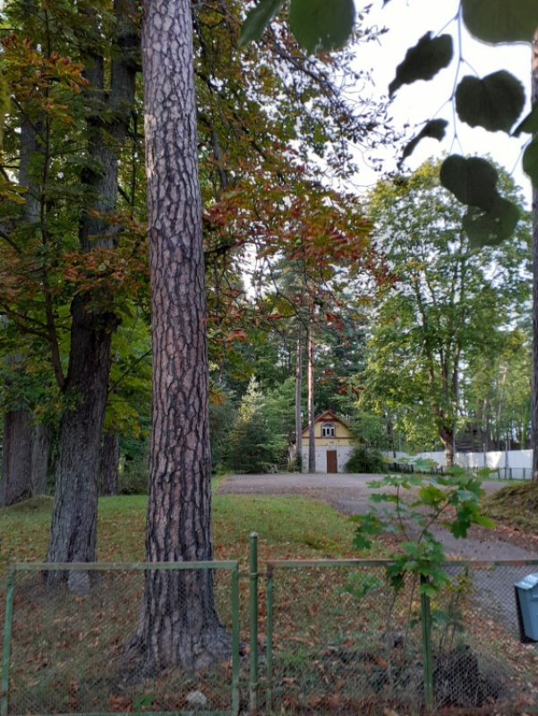 Земля в Дзинтари, Латвия, 1 726 сот. - фото 4