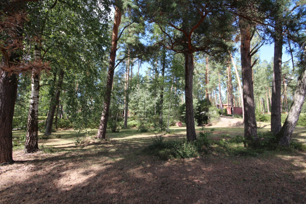 Земля в Рижском крае, Латвия, 5 925 сот. - фото 4