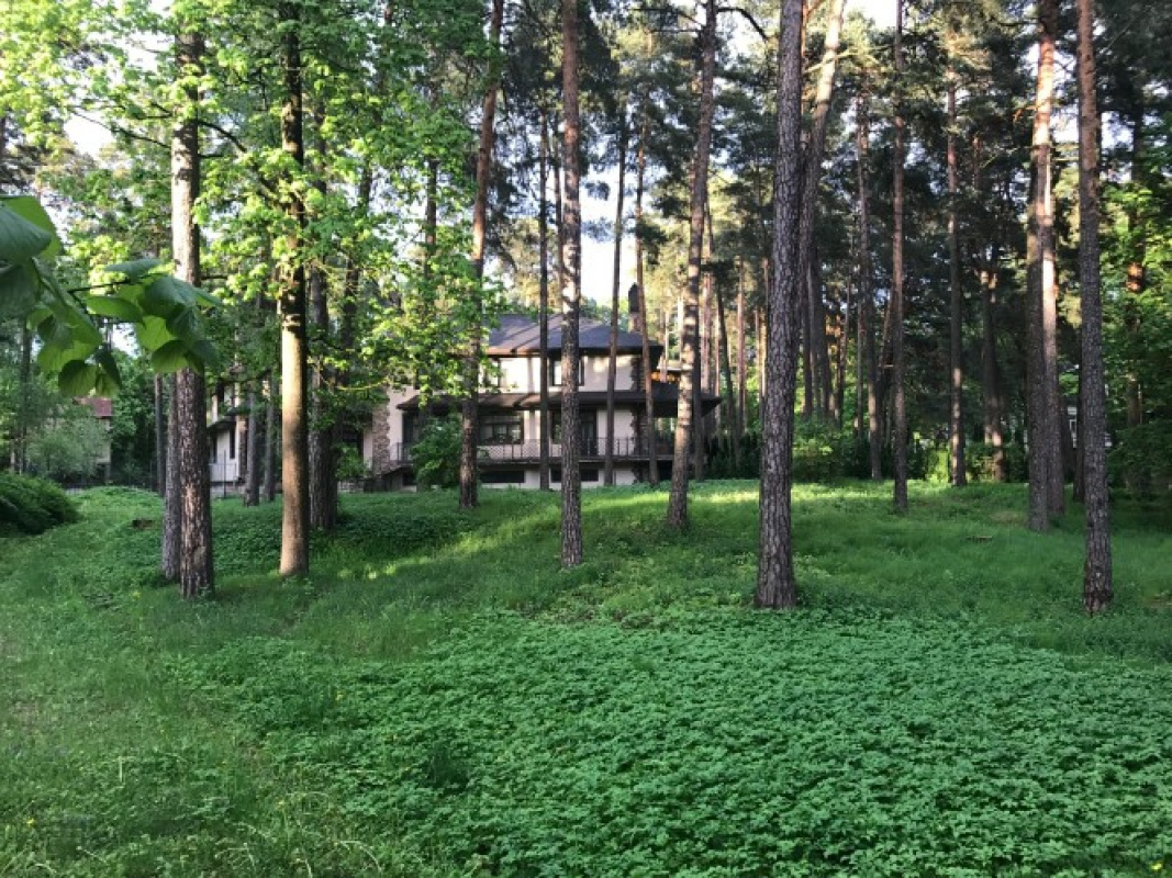 Земля в Риге, Латвия, 2 193 сот. - фото 4