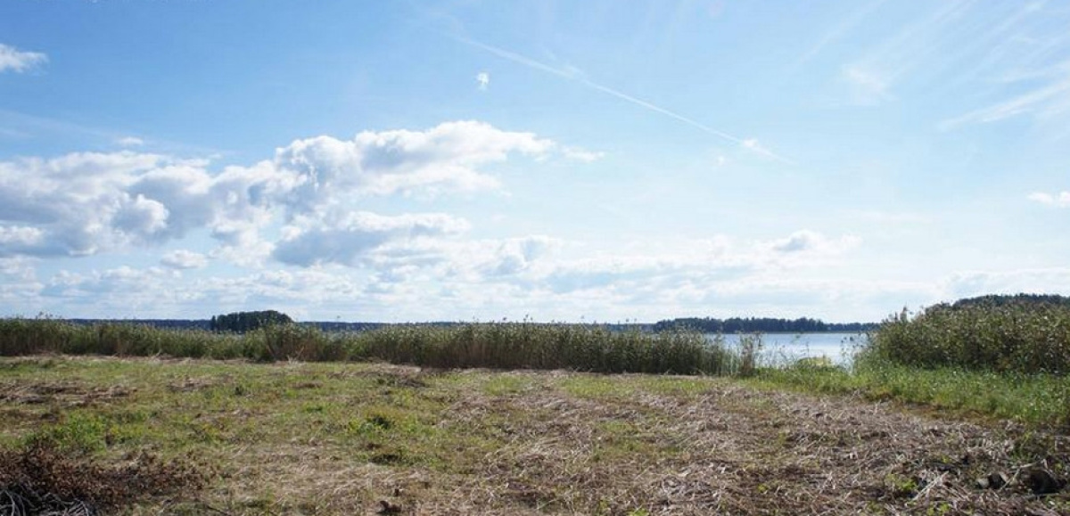 Земля в Рижском крае, Латвия, 9 940 сот. - фото 4