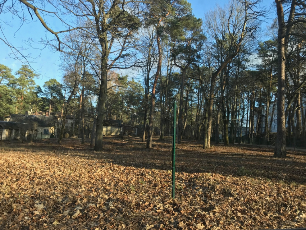 Земля в Меллужи, Латвия, 5 317 м² - фото 4