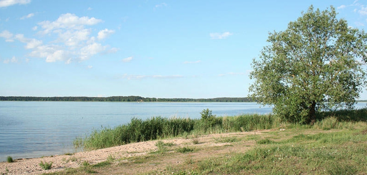 Земля в Риге, Латвия, 2 440 сот. - фото 5