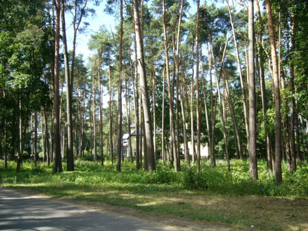 Земля в Риге, Латвия, 2 880 сот. - фото 6