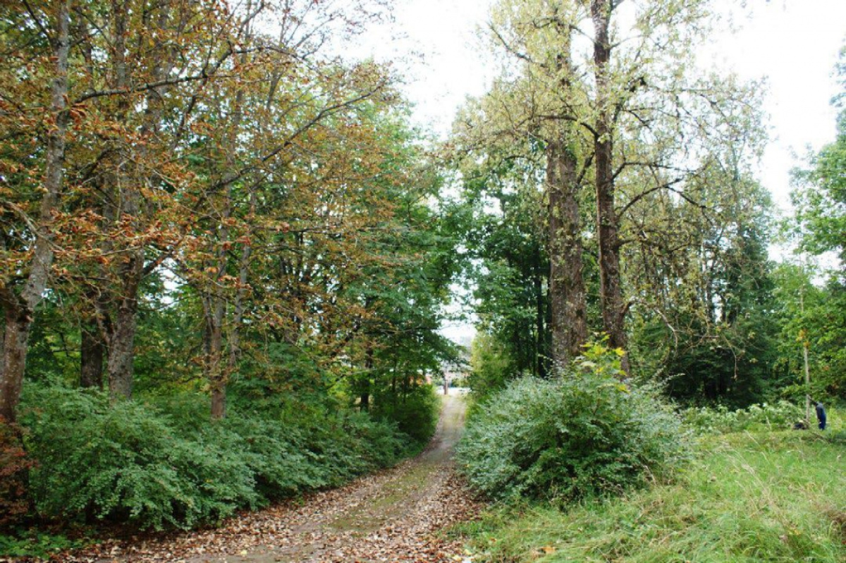 Земля в Риге, Латвия, 37 697 сот. - фото 6