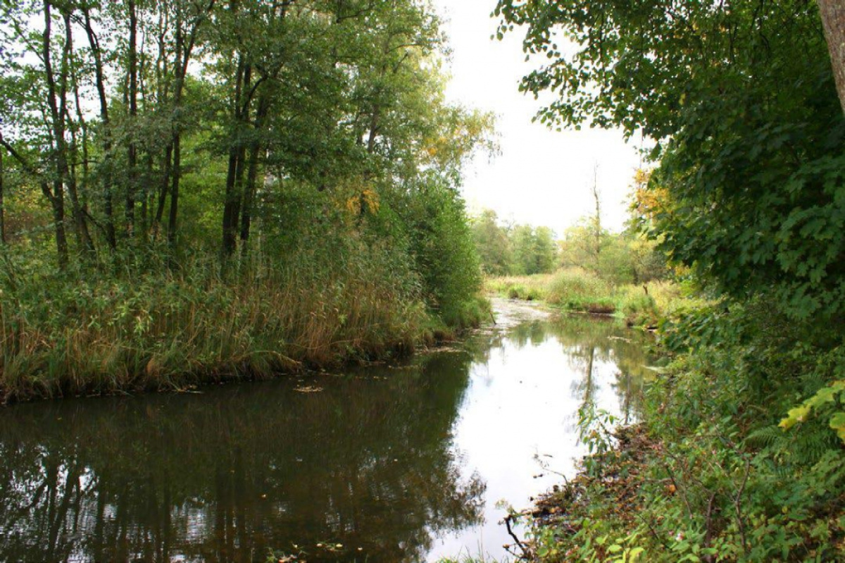 Земля в Риге, Латвия, 37 697 сот. - фото 7