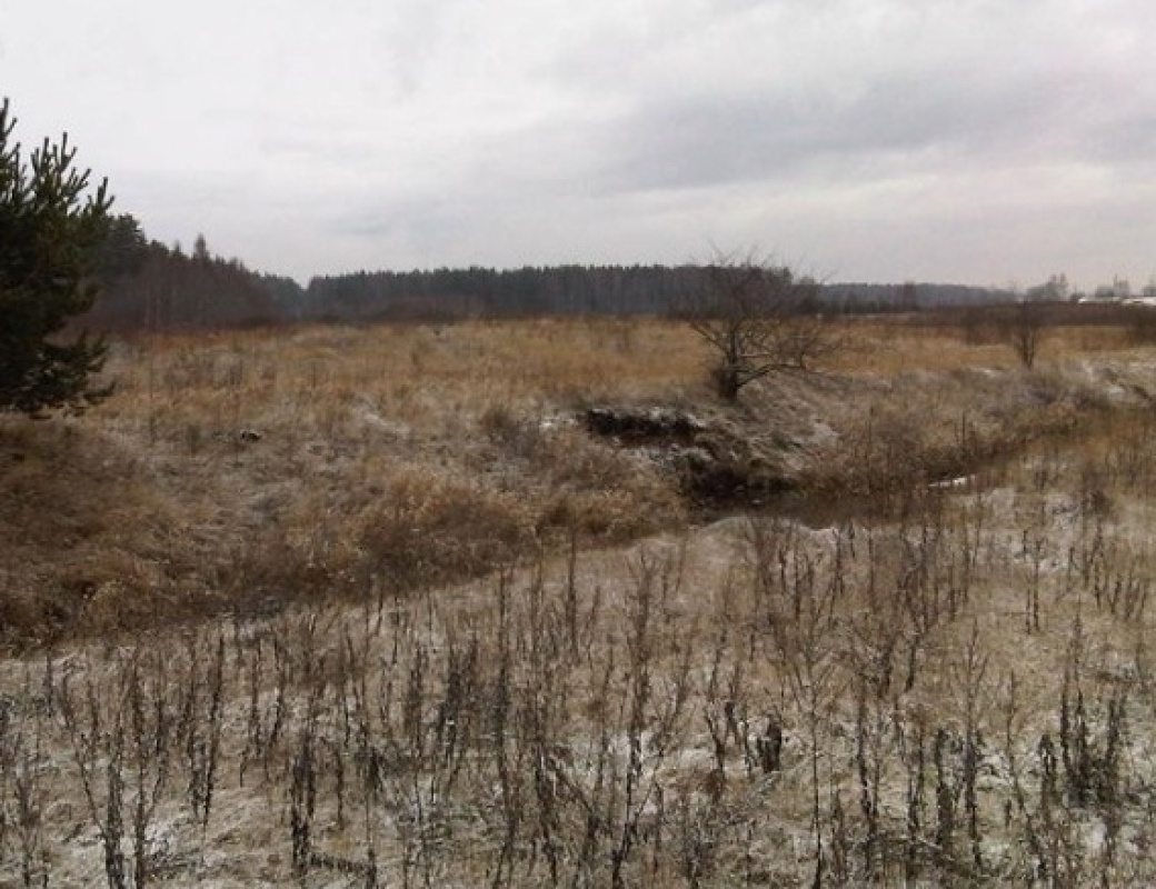 Земля в Рижском крае, Латвия, 56 000 м² - фото 7