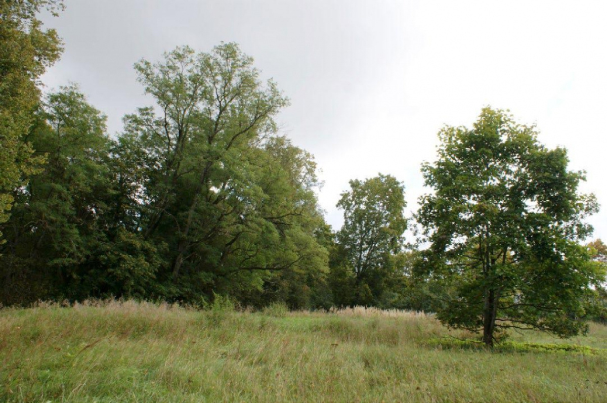 Земля в Риге, Латвия, 37 697 сот. - фото 9