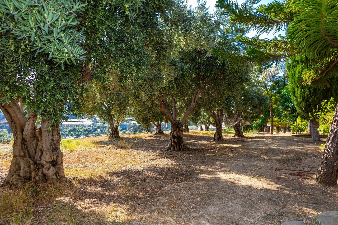 Вилла в Авсалларе, Турция, 500 м² - фото 11