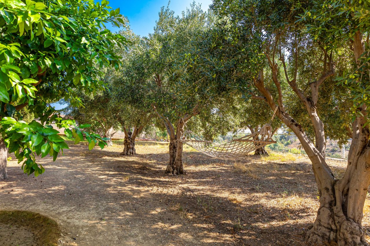 Вилла в Авсалларе, Турция, 500 м² - фото 14