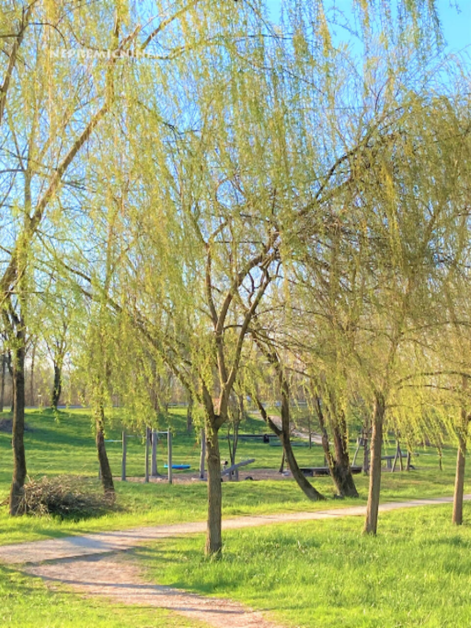 Земля в Любляне, Словения, 4 936 м² - фото 2