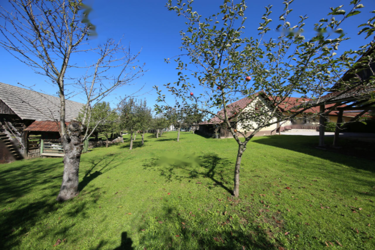 Ферма в Випаве, Словения, 115 000 м² - фото 3