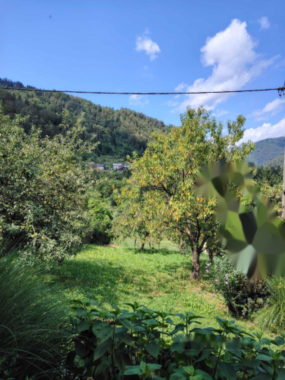 Ферма в Трбовле, Словения, 5 584 м² - фото 13