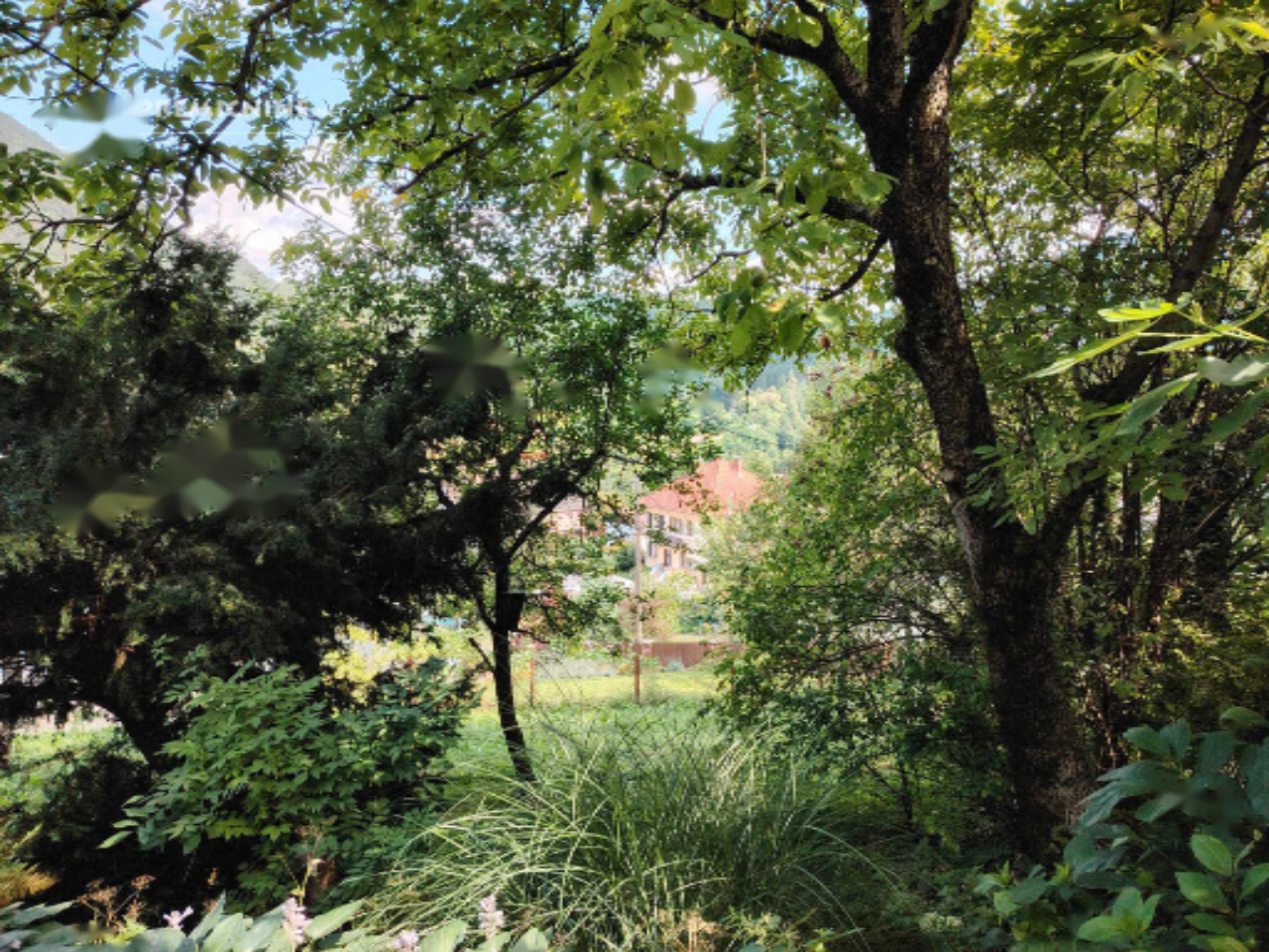 Ферма в Трбовле, Словения, 5 584 м² - фото 14