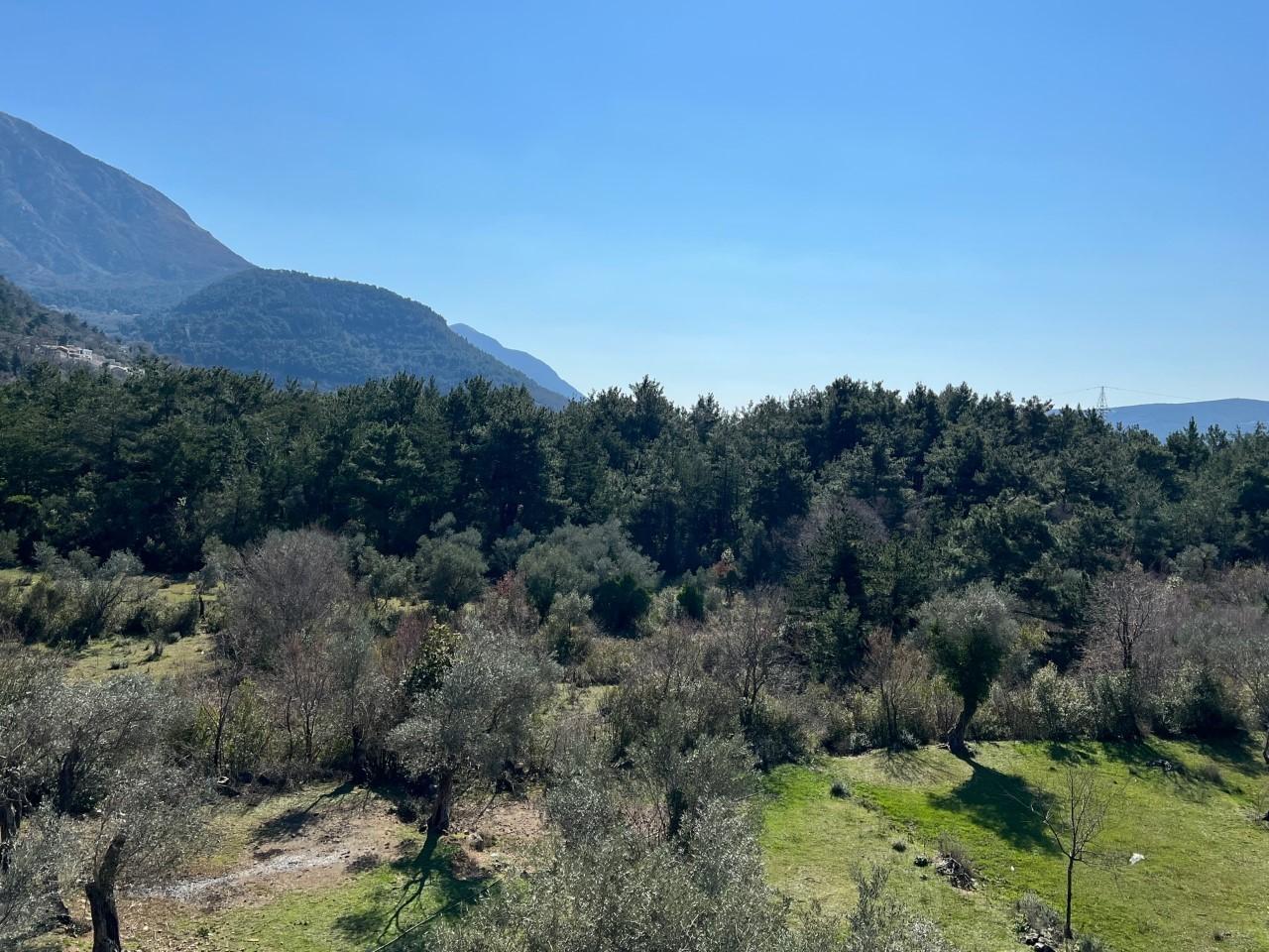 Земля в Каваче, Черногория, 24 474 м² - фото 4