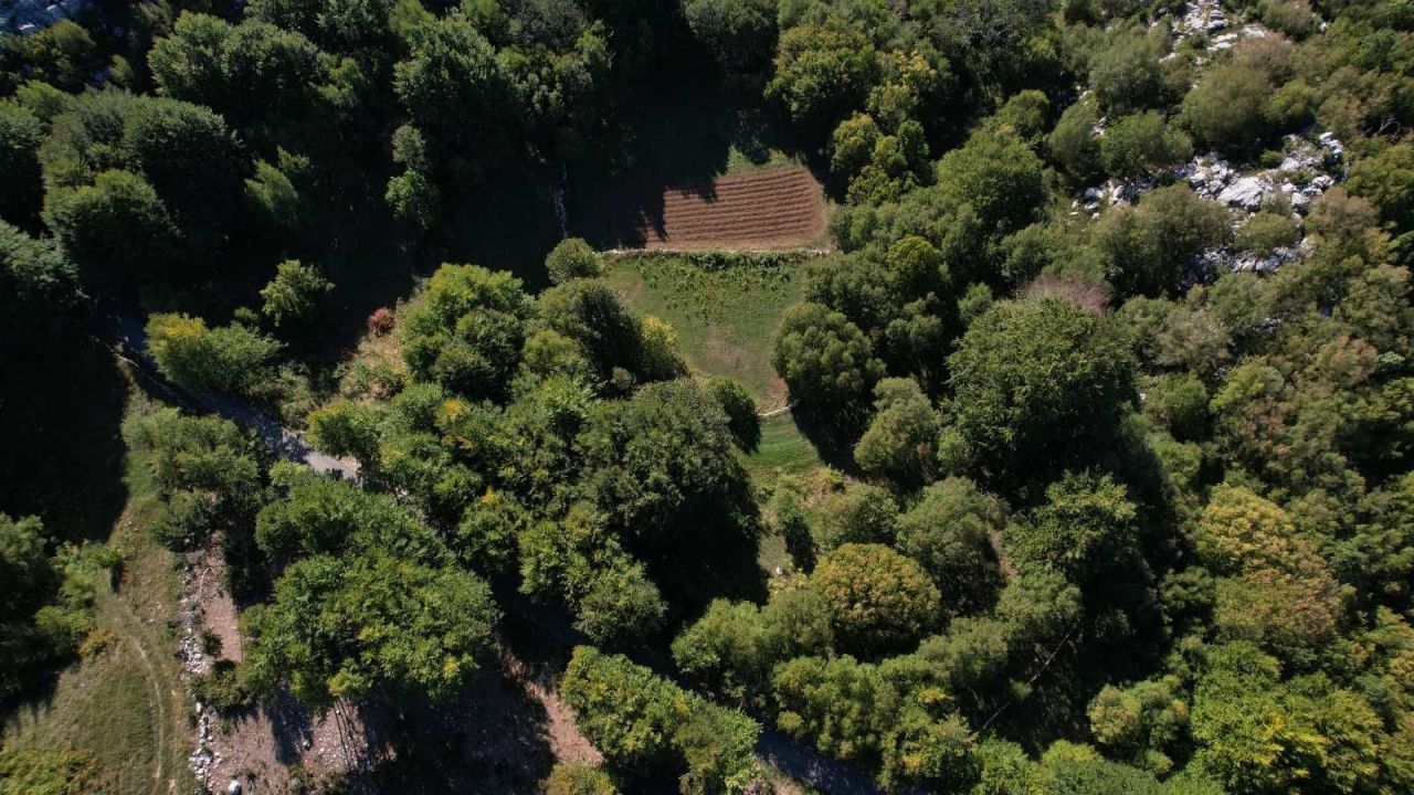 Земля в Цетине, Черногория, 2 210 м² - фото 3
