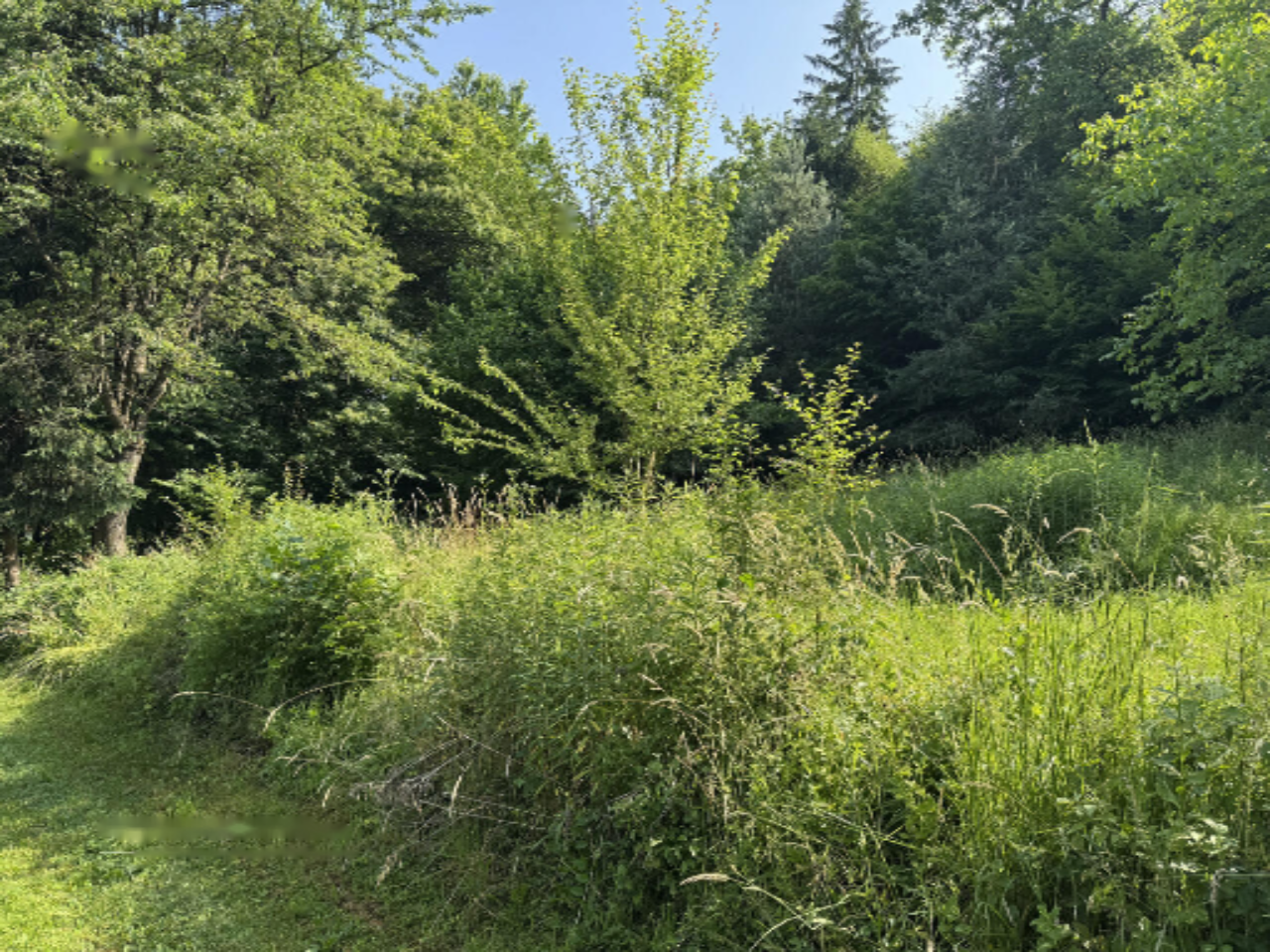 Земля в Любляне, Словения, 911 м² - фото 2