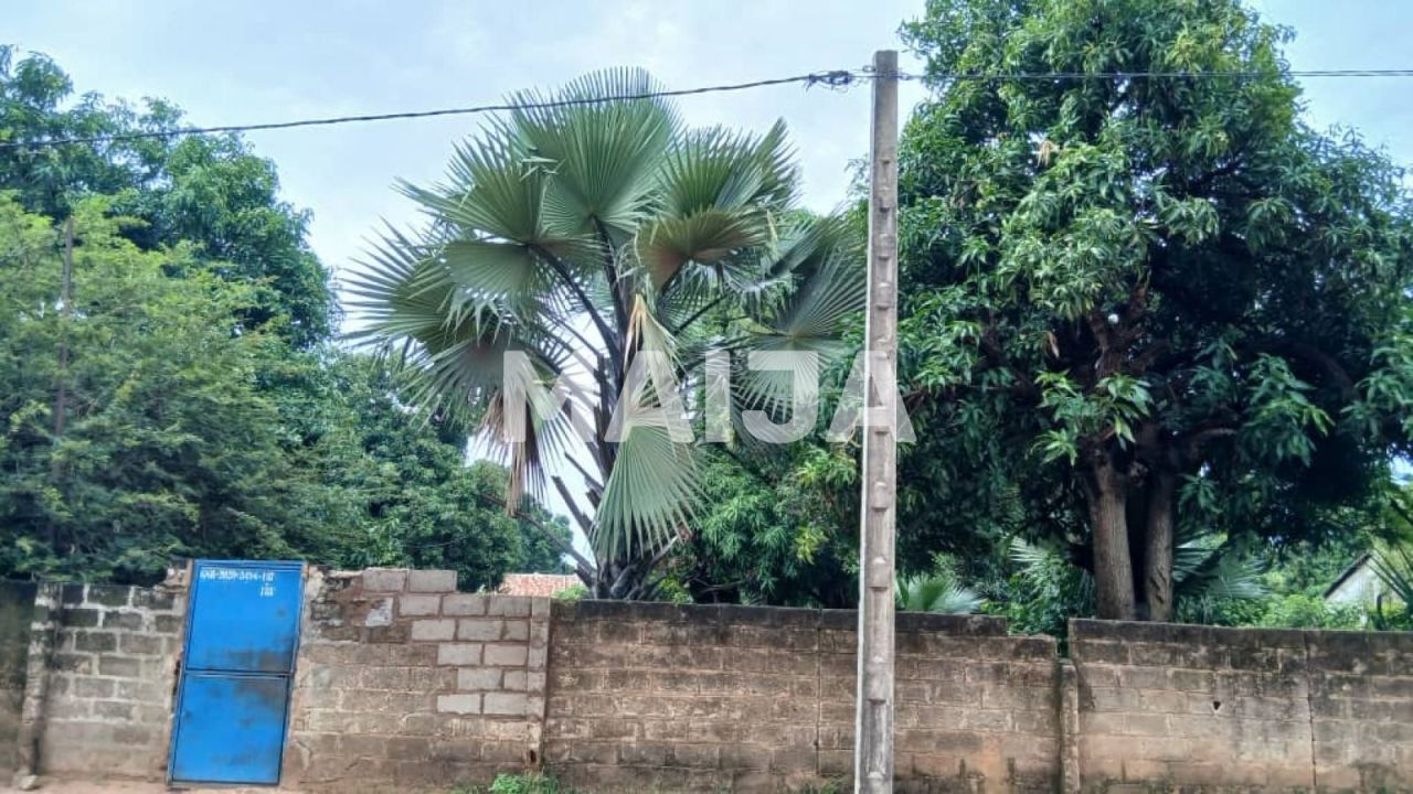 Земля Sanyang, Гамбия, 1 203 м² - фото 1