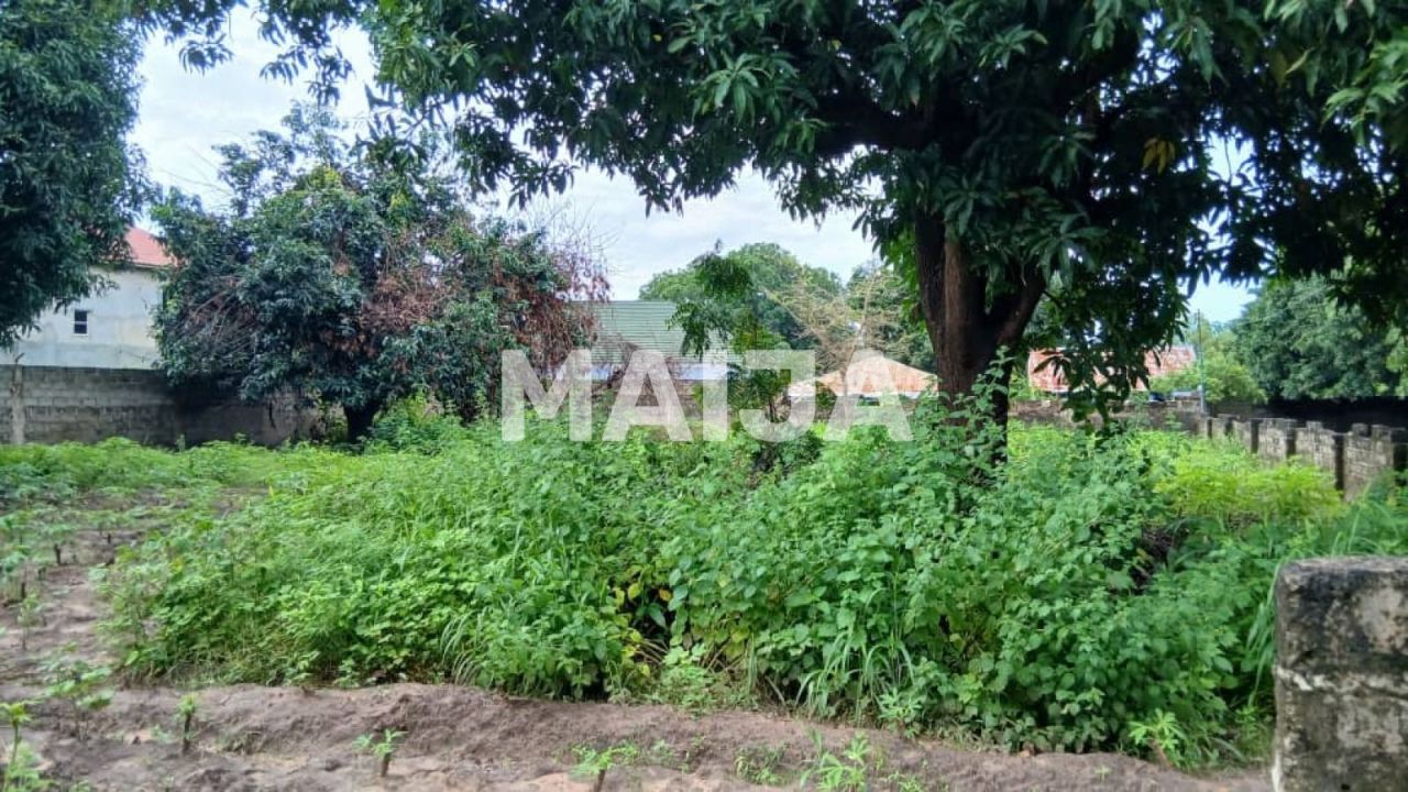 Земля Sanyang, Гамбия, 1 203 м² - фото 7