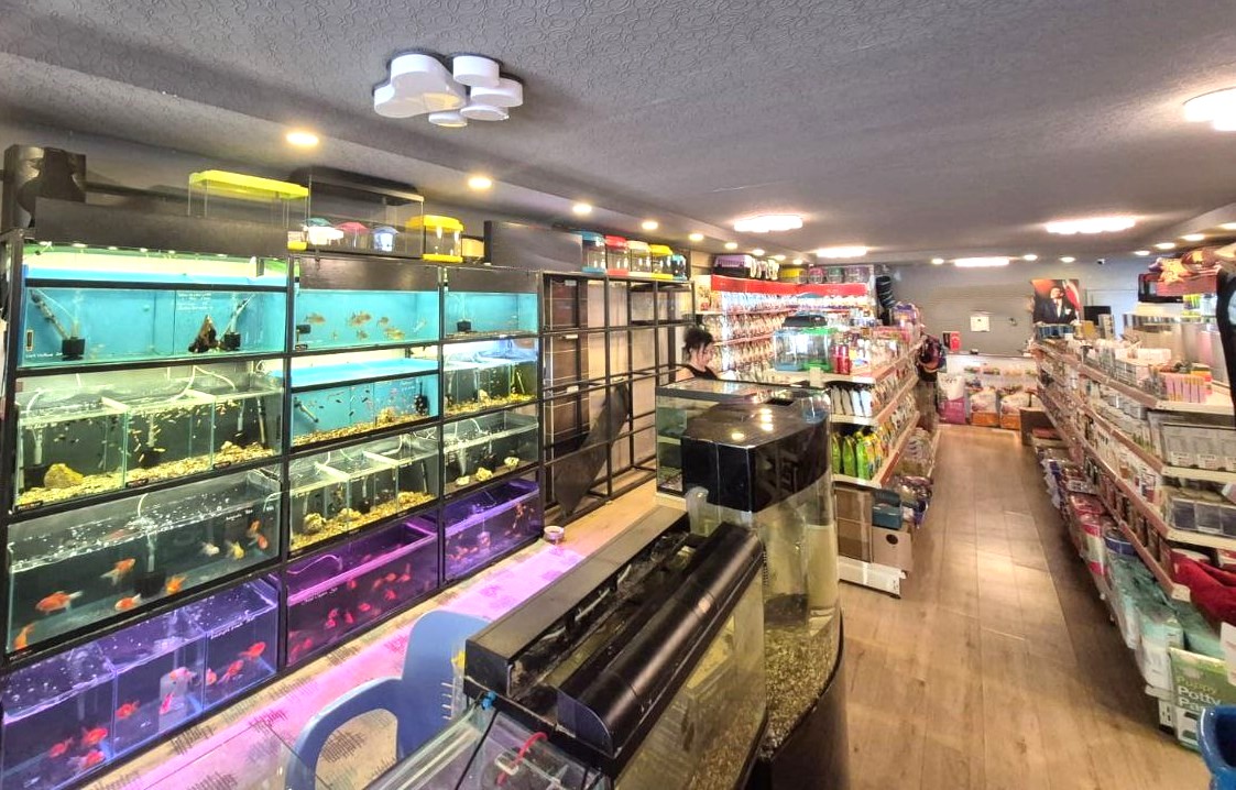 Магазин в Анталии, Турция, 250 м² - фото 12