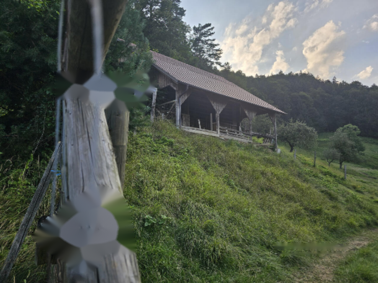 Ферма в Зрече, Словения, 52 057 м² - фото 3