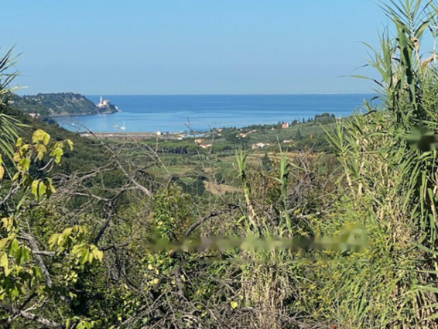 Дом в Изоле, Словения, 60 м² - фото 3