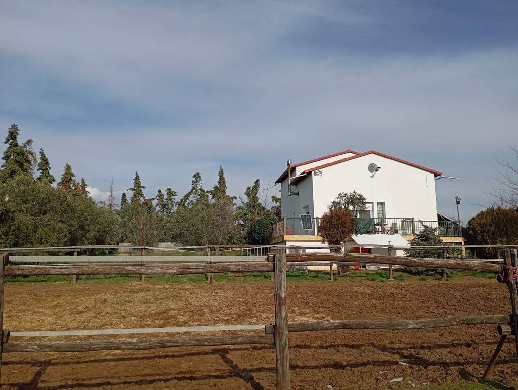 Дом на Халкидиках, Греция, 110 м² - фото 2