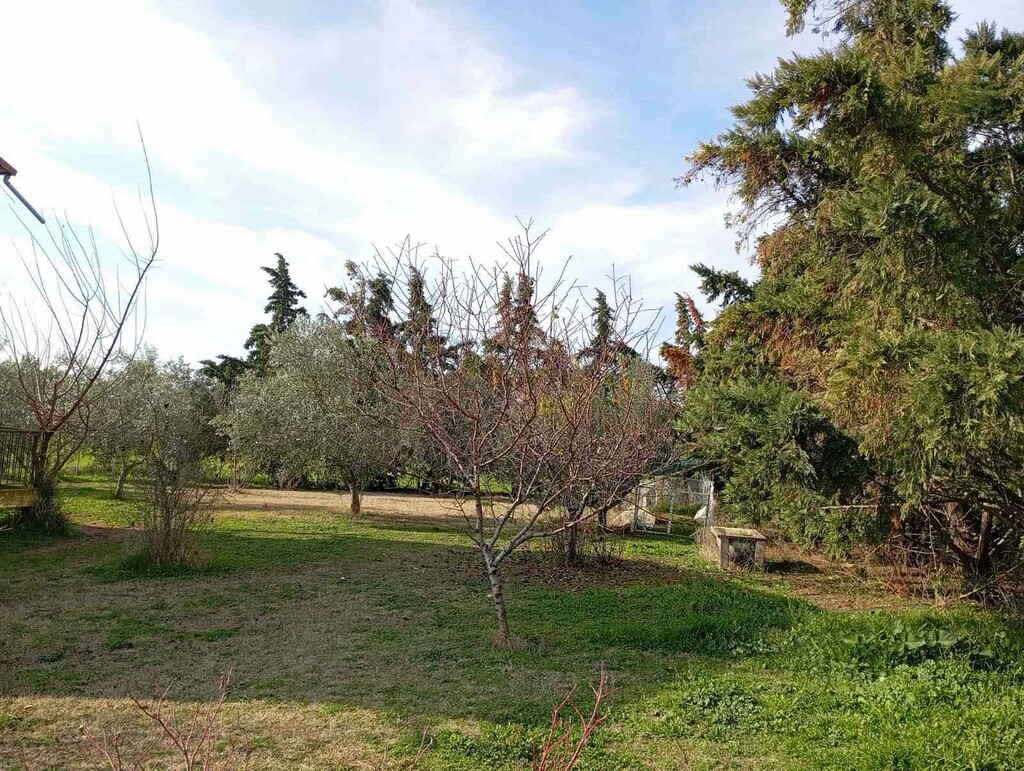 Дом на Халкидиках, Греция, 110 м² - фото 6