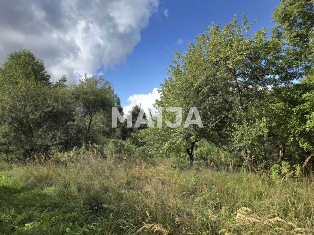 Дом Талси, Латвия, 418 м² - фото 11