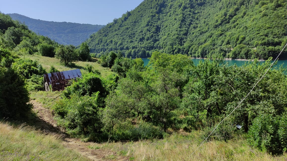 Земля в Плужине, Черногория, 10 Га - фото 5